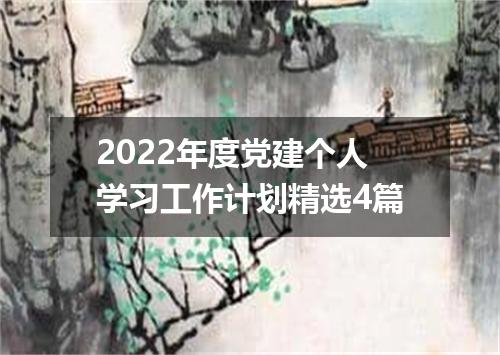2022年度党建个人学习工作计划精选4篇
