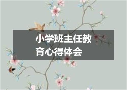 小学班主任教育心得体会
