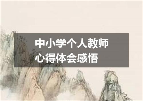 中小学个人教师心得体会感悟