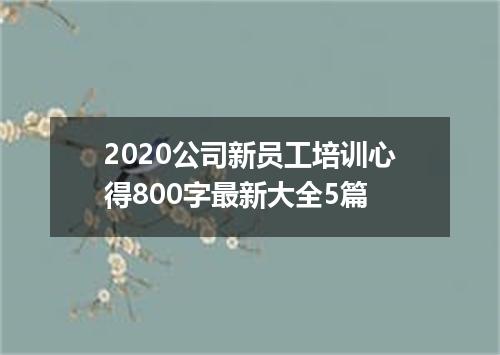 2020公司新员工培训心得800字最新大全5篇