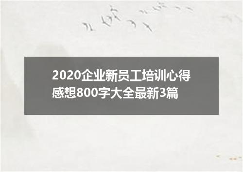 2020企业新员工培训心得感想800字大全最新3篇