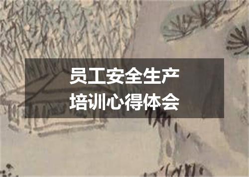 员工安全生产培训心得体会