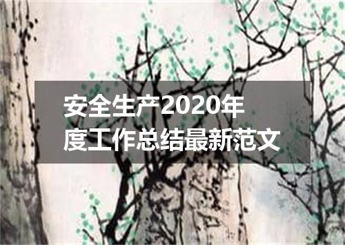 安全生产2020年度工作总结最新范文