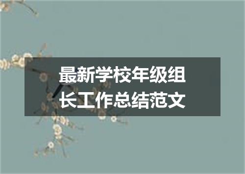 最新学校年级组长工作总结范文