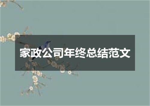 家政公司年终总结范文