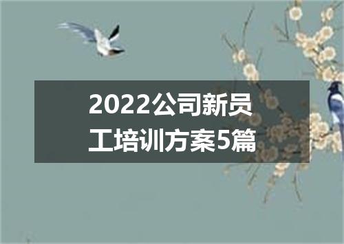 2022公司新员工培训方案5篇