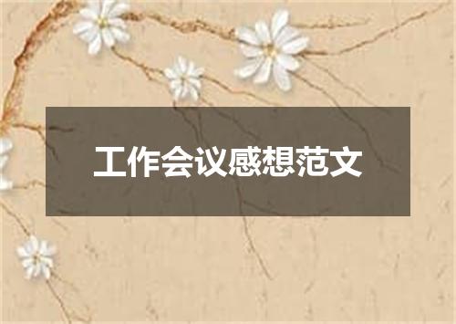 工作会议感想范文