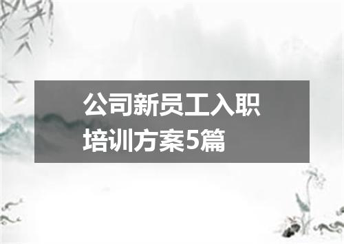 公司新员工入职培训方案5篇