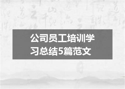 公司员工培训学习总结5篇范文