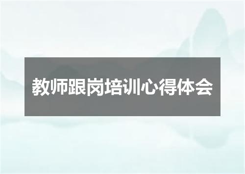 教师跟岗培训心得体会