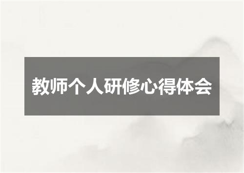 教师个人研修心得体会