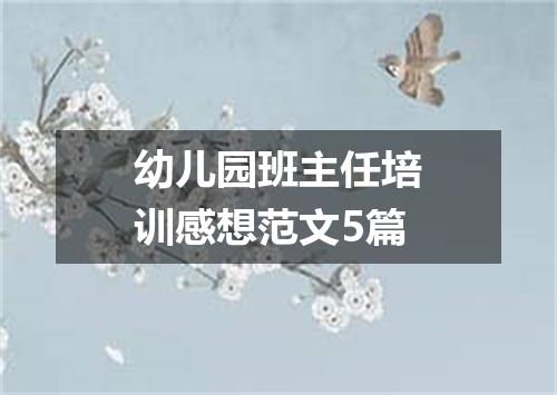 幼儿园班主任培训感想范文5篇