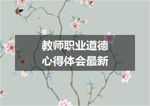 教师职业道德心得体会最新