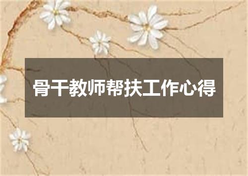 骨干教师帮扶工作心得