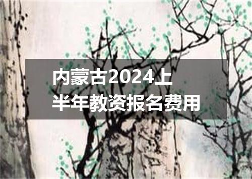 内蒙古2024上半年教资报名费用