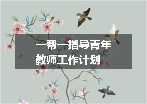 一帮一指导青年教师工作计划