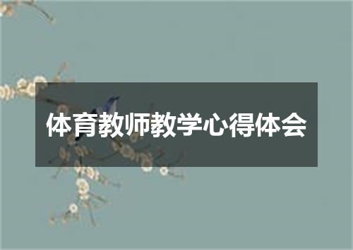 体育教师教学心得体会