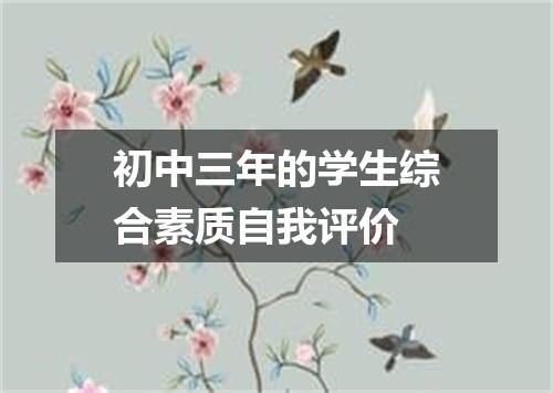 初中三年的学生综合素质自我评价