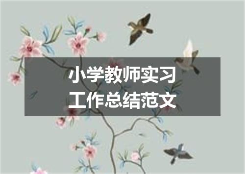 小学教师实习工作总结范文