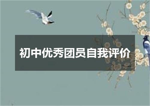 初中优秀团员自我评价