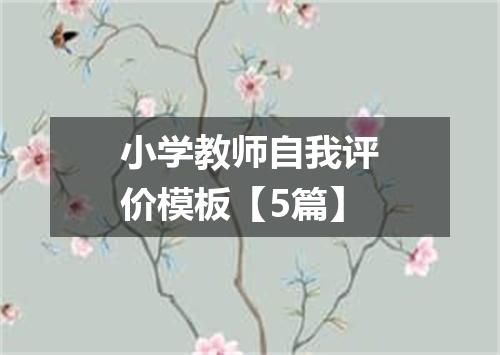 小学教师自我评价模板【5篇】