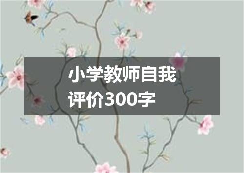 小学教师自我评价300字