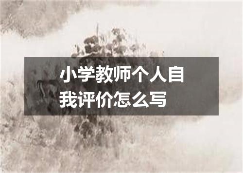 小学教师个人自我评价怎么写