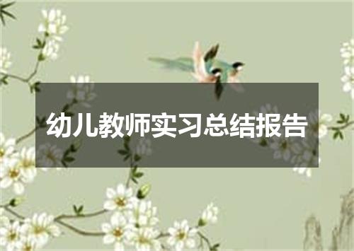 幼儿教师实习总结报告