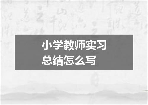 小学教师实习总结怎么写