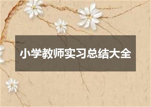 小学教师实习总结大全