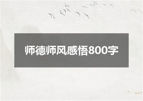 师德师风感悟800字