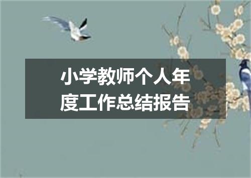 小学教师个人年度工作总结报告