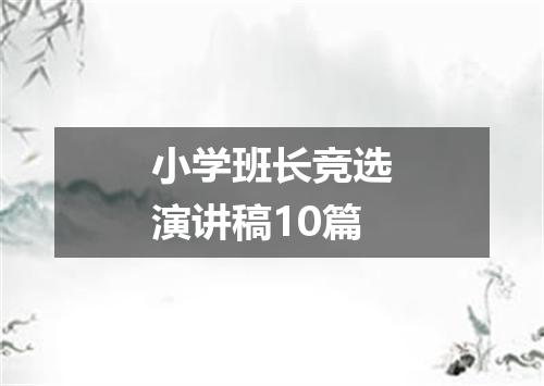小学班长竞选演讲稿10篇
