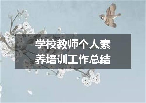 学校教师个人素养培训工作总结