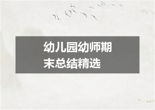 幼儿园幼师期末总结精选