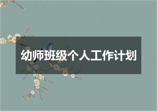 幼师班级个人工作计划