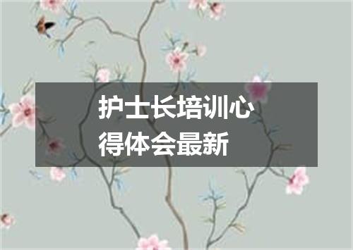 护士长培训心得体会最新