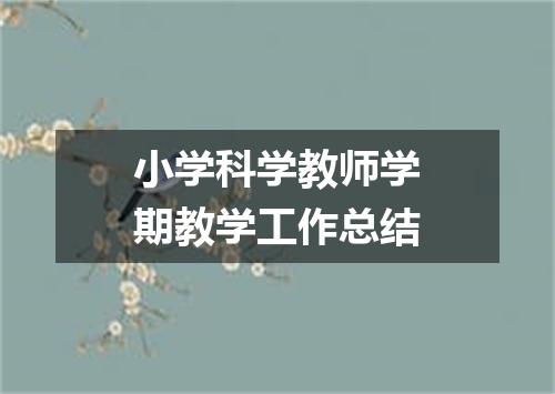 小学科学教师学期教学工作总结