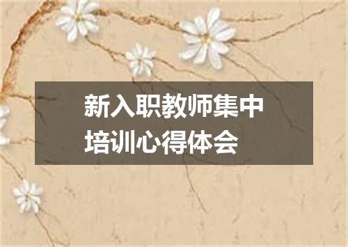 新入职教师集中培训心得体会