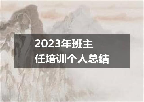2023年班主任培训个人总结