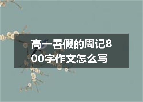 高一暑假的周记800字作文怎么写