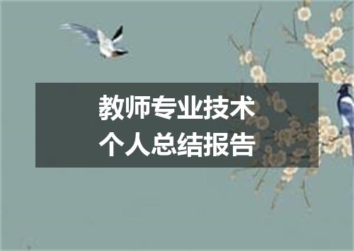 教师专业技术个人总结报告