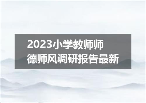 2023小学教师师德师风调研报告最新