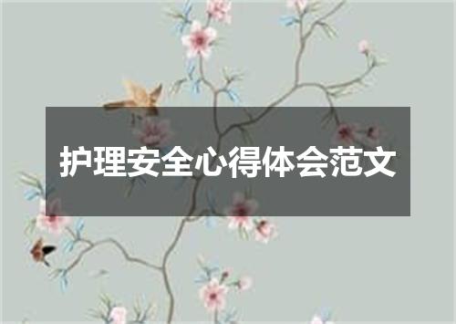 护理安全心得体会范文