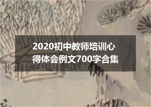 2020初中教师培训心得体会例文700字合集