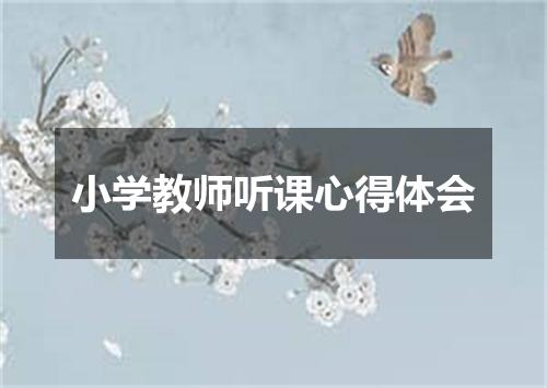 小学教师听课心得体会