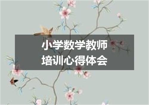 小学数学教师培训心得体会