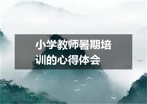 小学教师暑期培训的心得体会