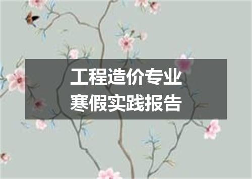 工程造价专业寒假实践报告