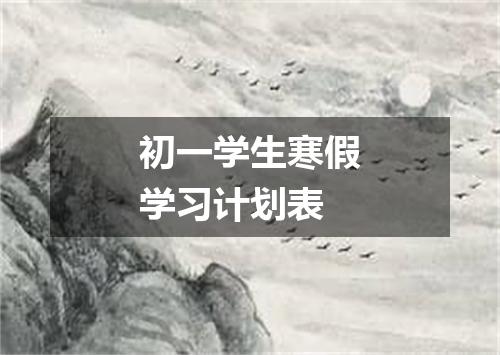 初一学生寒假学习计划表